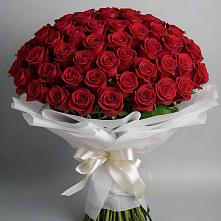Букет 101 Красная роза Блэк Мэджик в Товарково