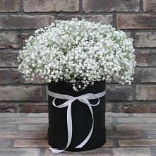 Цветочная композиция из Гипсофила в шляпной коробке в Товарково
