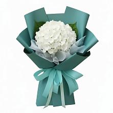 Букет цветов из:  Гортензия #REPLACE_PRED# Товарково